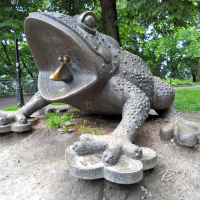 У Франківську оберуть пам'ятник жабі