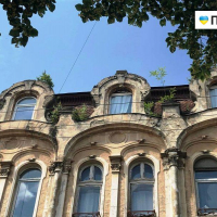 У Франківську “стихійні” деревця на дахах та балконах руйнують історичні будинки (ФОТО)