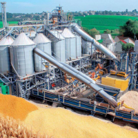 Завод з переробки кукурудзи побудують в Бурштині